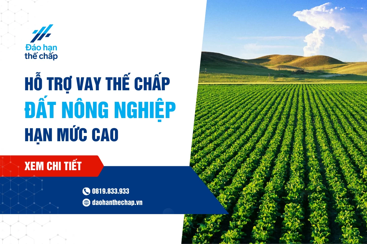 Dịch Vụ Hỗ Trợ Cho Vay Thế Chấp Đất Nông Nghiệp Hạn Mức Cao | Đáo Hạn Thế Chấp