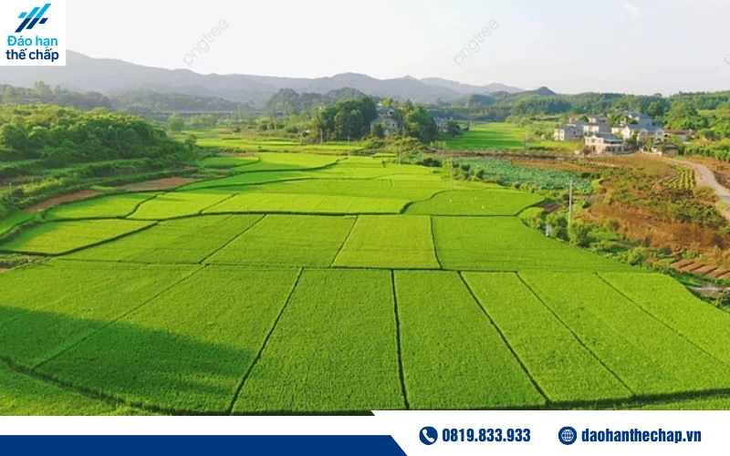Các trường hợp nào được phép chuyển đổi mục đích sử dụng đất?