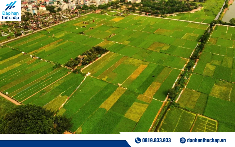 Đất nông nghiệp bị hạn chế cho vay tại ngân hàng hoặc phải vay với hạn mức thấp