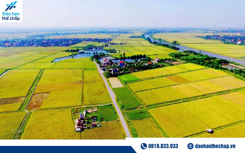 Hồ sơ cơ bản cần có để tách thửa đất ở nông thôn