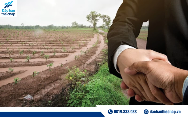 Chuyển đổi đất sử dụng cho mục đích sản xuất sang đất thương mại, dịch vụ