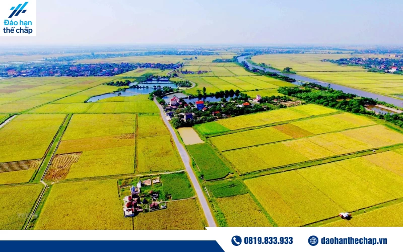 Đất nông nghiệp hoàn toàn được thực hiện vay thế chấp